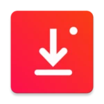 Logo of Instant Downloader android Application 